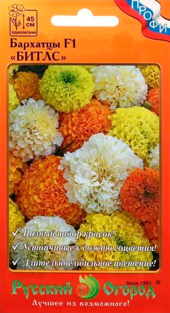 ���� ������ ������� ������ �������� ����� F1, ����� 12 ��. �����  