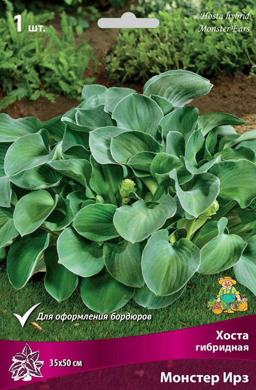 ���� ���������� �������� ����� ��������� ����� ��������� ������� ���, 1 ��.  