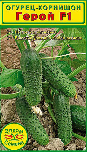 ���� ������ ����� ������ ������ - �������� ����� F1, 10 ��.  