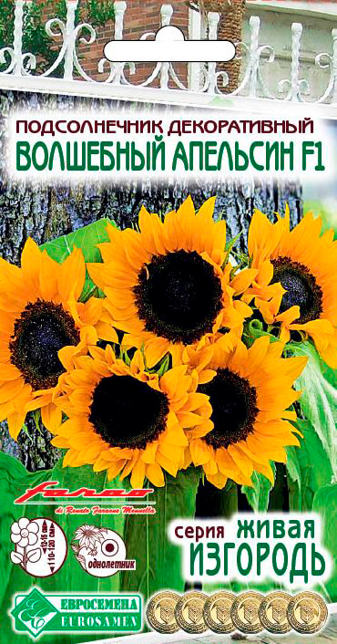 ���� ������ ���������� ������������ ������������ ��������� �������� F1, 5 ��. Farao ����� ��������  