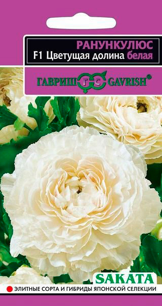 ���� ������ ������ ���������� �������� ������ ����� F1, 3 ��. Sakata ���������  