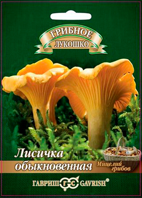 ���� ������ ������ ���� ������� ������������ �� �������� ���������, 15 ��  