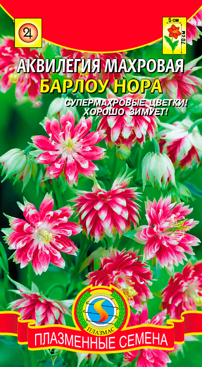 ���� ������ ������� ��������� �������� ������ ����, 9 ��.  