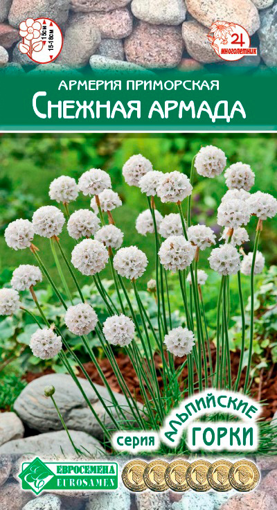 ���� ������ ���������� ������� ���������� ������� ������, 5 ��. ���������� �����  