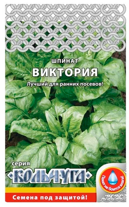 ���� ������ ������� ������ ������ ��������, 1 � ��������  