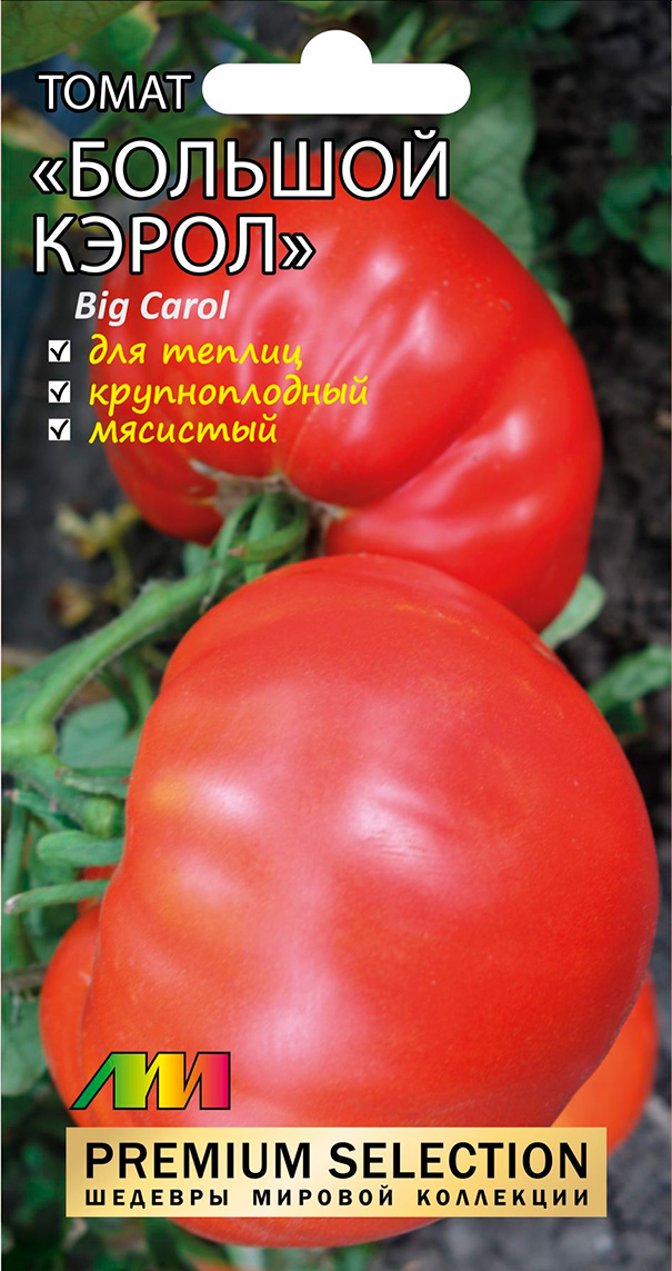 ���� ������ ������ ������ ����������� ����� ������� ������ (Carol Chyko's Big Paste), 5 ��. Premium Selection  