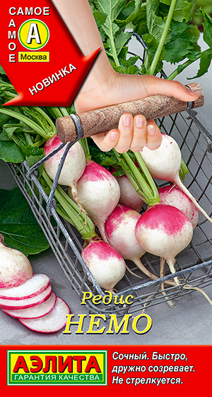 ���� ������ ������ ����� ����, 1 �  