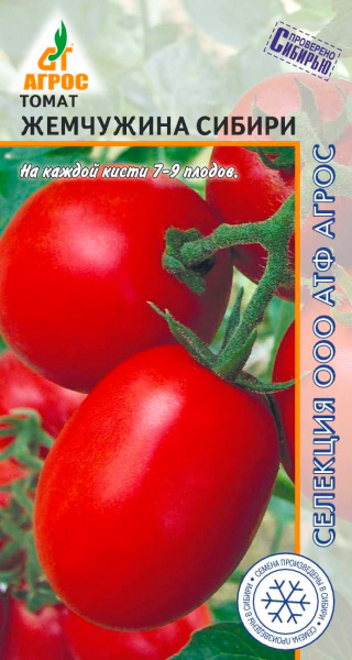 ���� ������ ����� ����� ��������� ������, 0,08 � �������� �����  