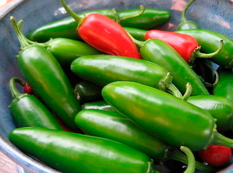 ���� ������ ����� ������ ����� ������ ���������, 5 ��.  