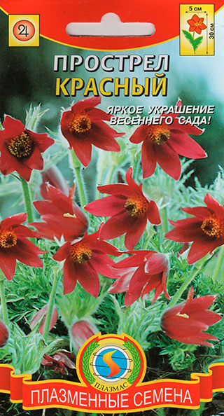 ���� ������ ������� �������� �������, 10 ��.  