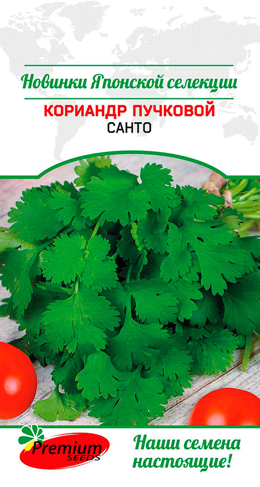 ���� ������ Premium seeds �������� (�����) �������� �����, 0,5 � Sakata  