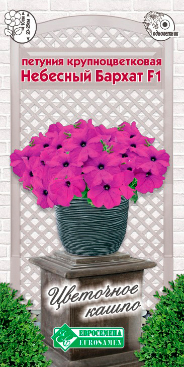 ���� ������ ���������� ������� ��������������� �������� ������ F1, 10 ��. ��������� �����  