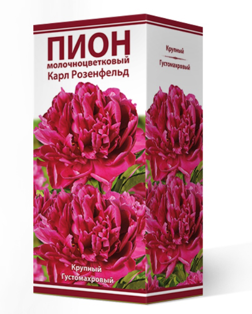 ���� ���������� �������� ����� ��������� ���� ���������������� ���� ����������, 1 ��.  