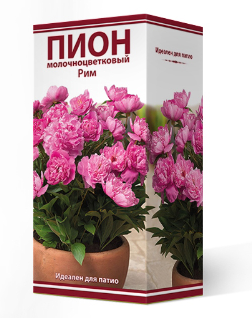 ���� ���������� �������� ����� ��������� ���� ����������� ��� ����� ���, 1 ��.  