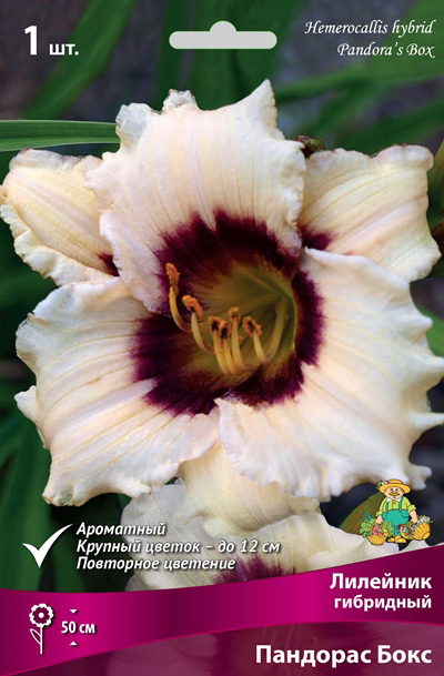 ���� ���������� �������� ����� ��������� �������� ��������� �������� ����, 1 ��. NEW  