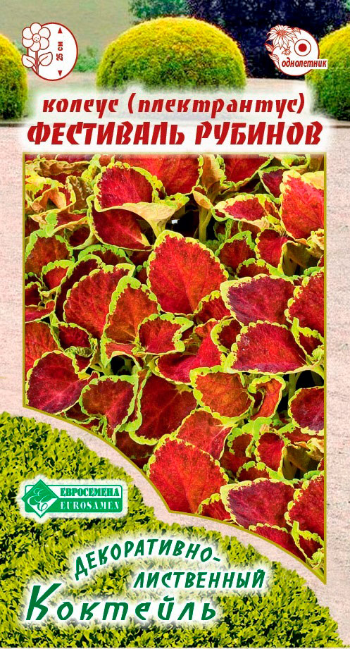 ���� ������ ���������� ������ ����� ��������� �������, 10 ��. Sakata �����������-���������� ��������  