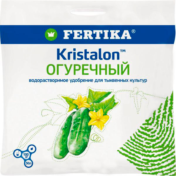 ���� ���� �� ���������� ������� ������� ��������� ���������, 100 �  