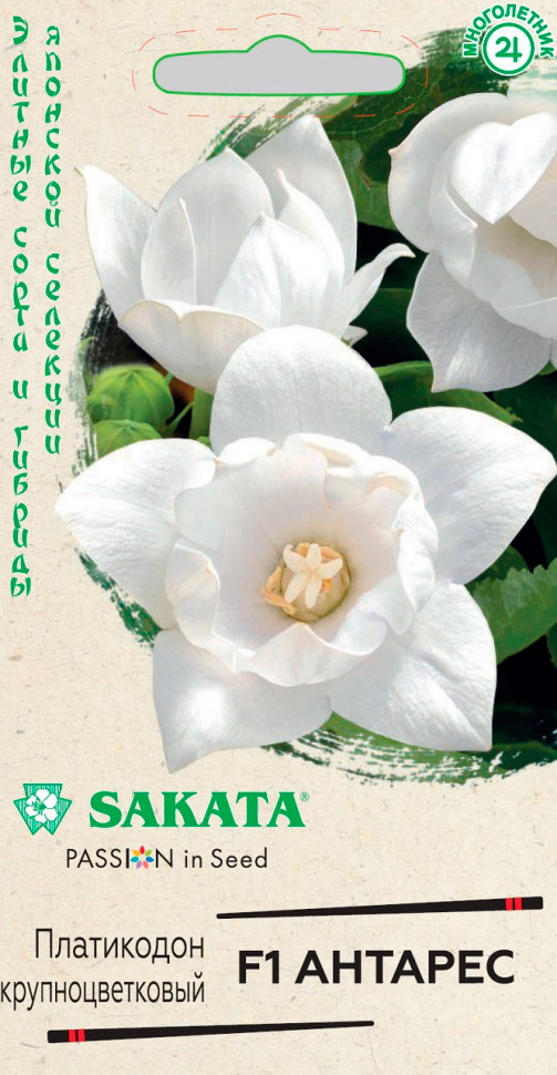       F1, 4 . Sakata    -     , -  