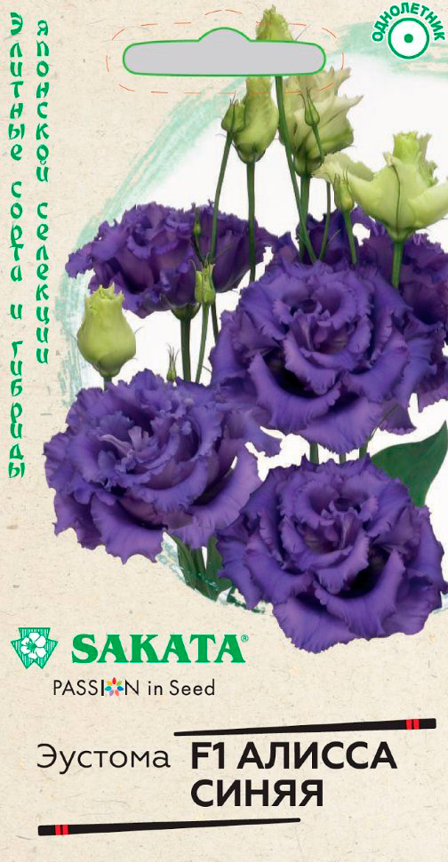         F1, 4 . Sakata    -     , -,   