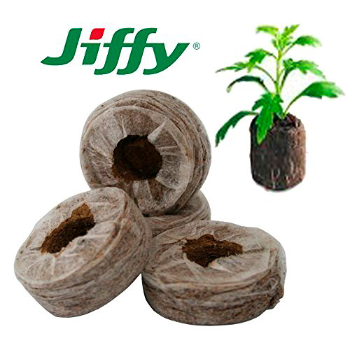      JIFFY -   - 7 (Jiffy - 7) 41 , 20 .   -     , -  