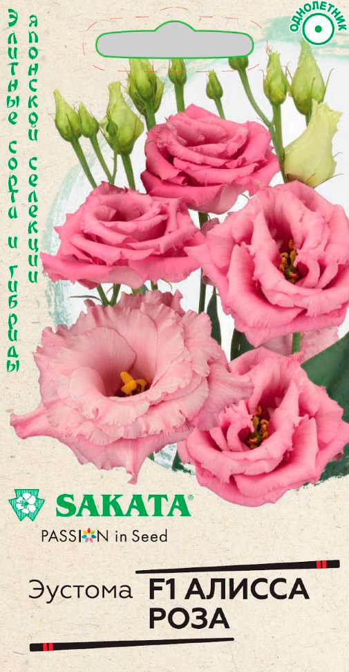         F1, 4 . Sakata    -     , -,   