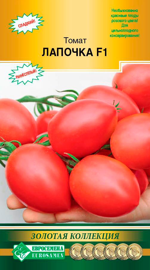 ���� ������ ���������� ����� ������� F1, 10 ��. ������� ���������  