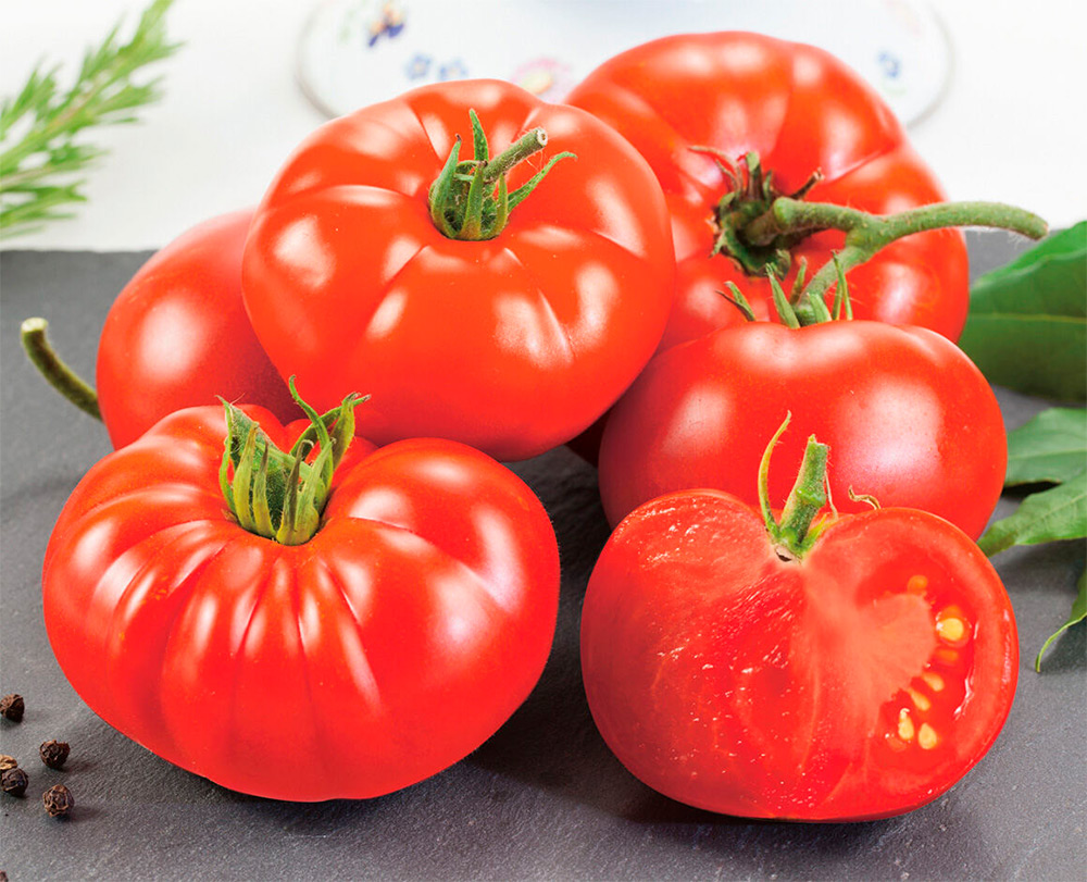 ���� ������ ���� ������ ����� ��������� F1, 10 ��.  