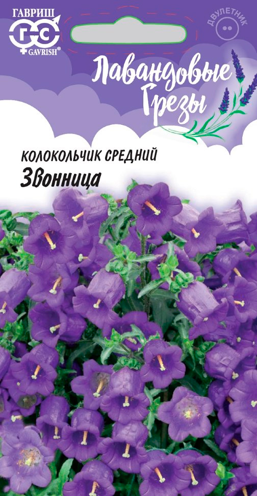 ���� ������ ������ ����������� ������� ��������, 0,1 �, ���������� �����  