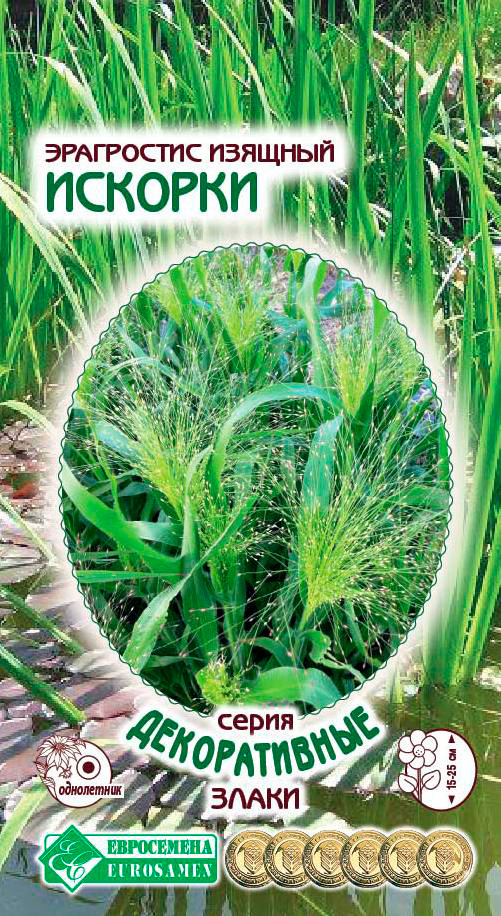 ���� ������ ���������� ���������� ������� �������, 0,1 � ������������ �����  