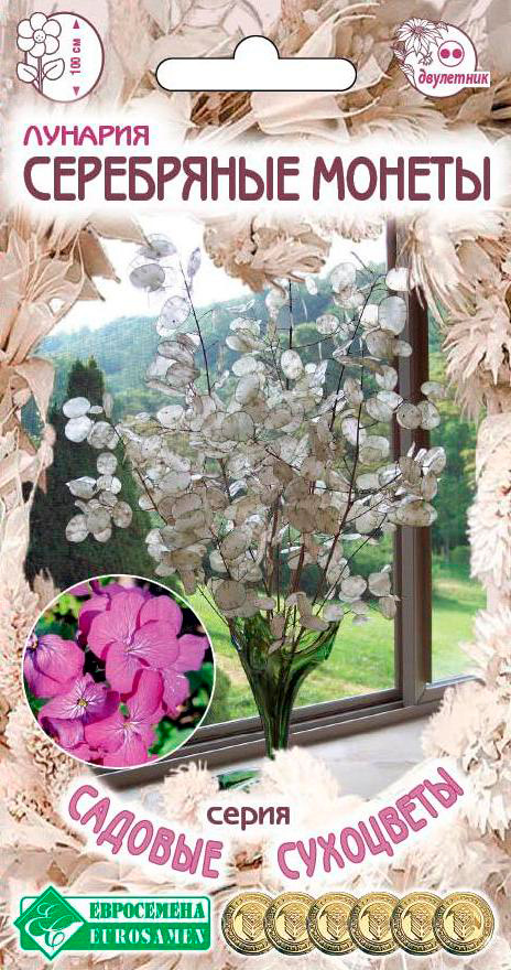 ���� ������ ���������� ������� ���������� ������, 10 ��. ������� ���������  