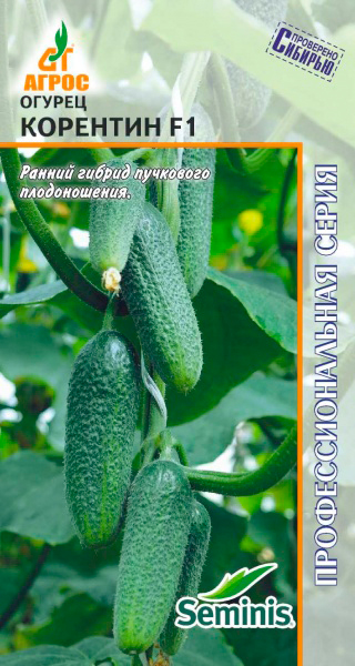 ���� ������ ����� ������ �������� F1, 8 ��. Seminis ���������������� �����  