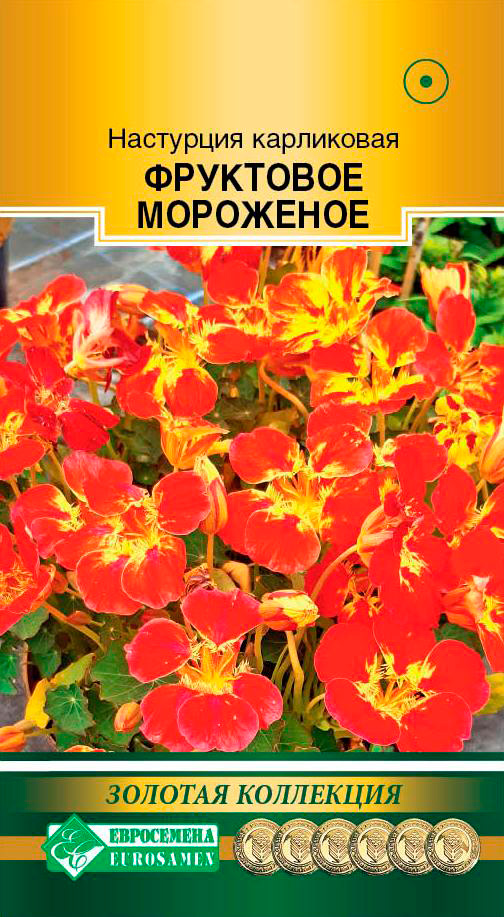 ���� ������ ���������� ��������� ����� ��������� ���������, 5 ��. ������� ���������  