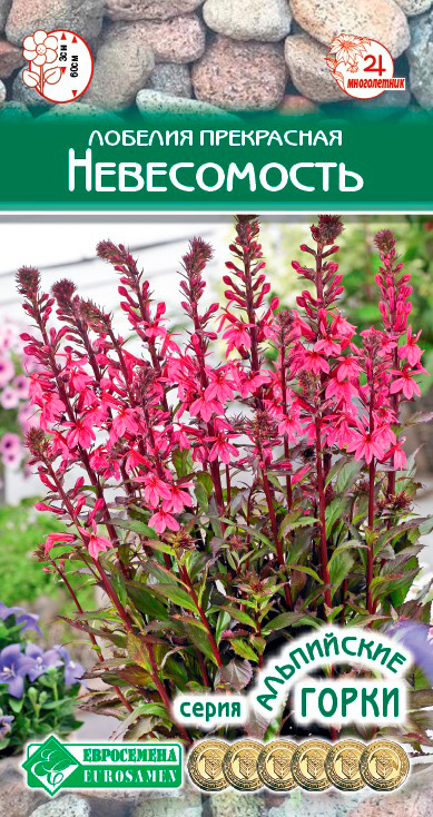 ���� ������ ���������� ������� ���������� �����������, 3 ��. ���������� �����  