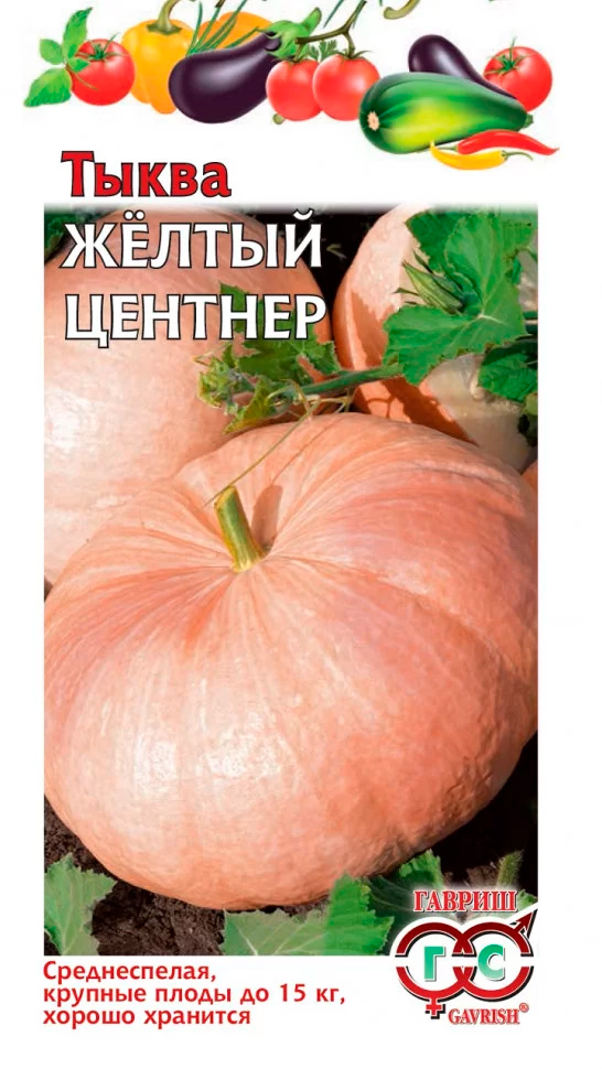 ���� ������ ������ ����� ������ �������, 2 �  