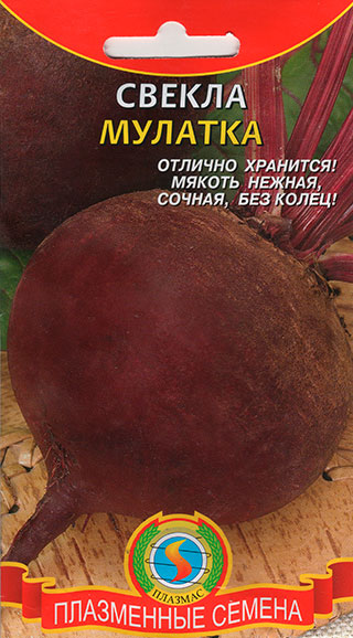 ���� ������ ������� ������ �������, 2 �  