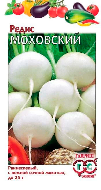 ���� ������ ������ ����� ���������, 2 �  