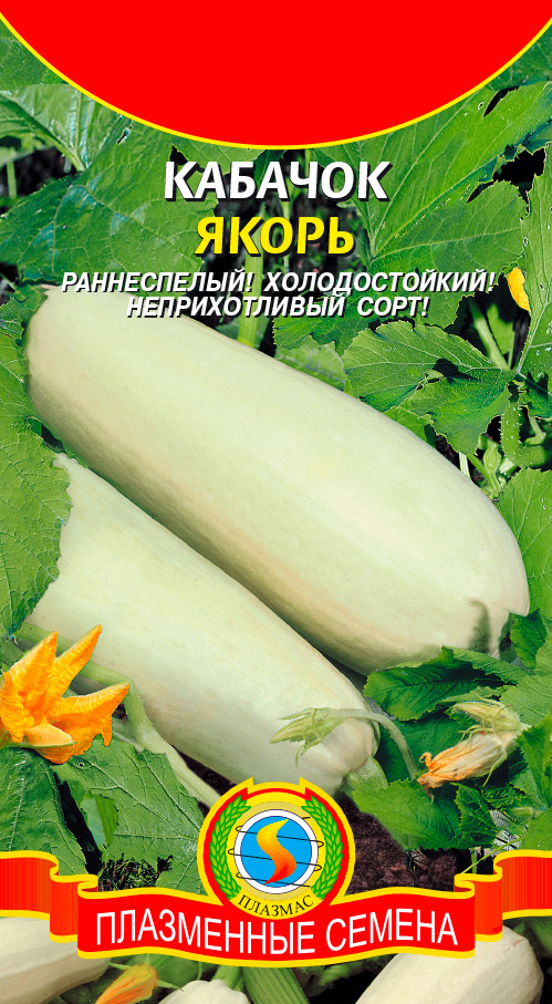 ���� ������ ������� ������� �����, 11 ��.  