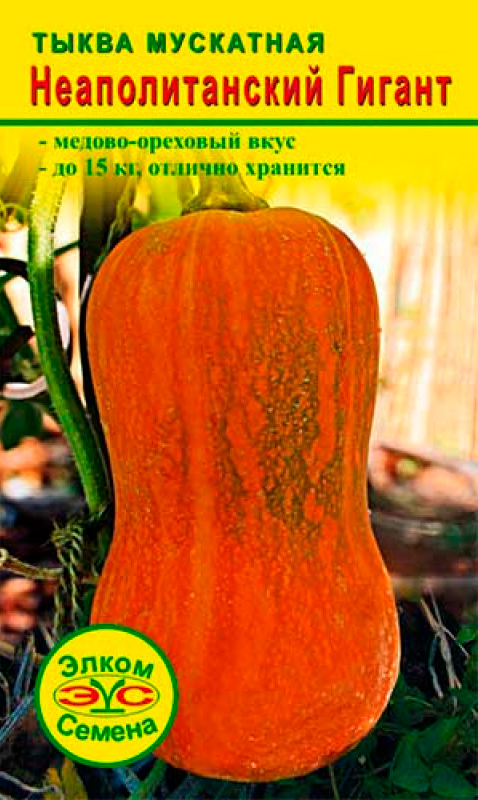 ���� ������ ����� ������ ����� ��������� �������������� ������, 5 ��.  