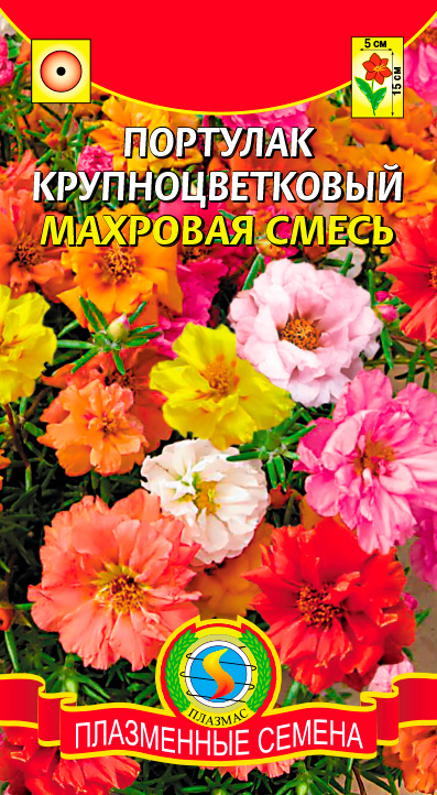 ���� ������ ������� �������� ��������������� ��������, �����, 0,1 �  