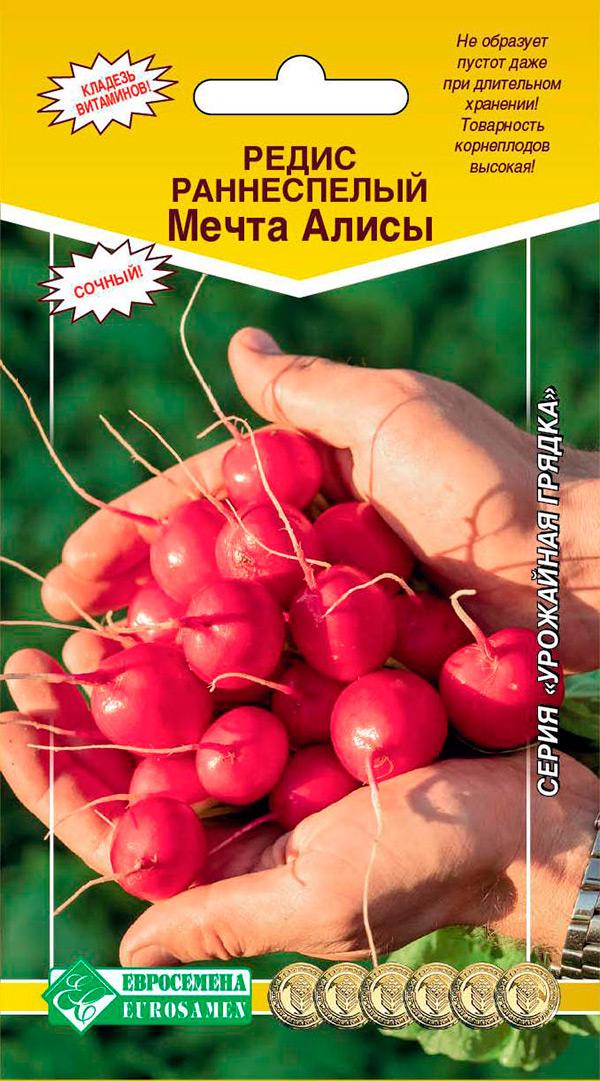 ���� ������ ���������� ����� ����� �����, 0,5 �  