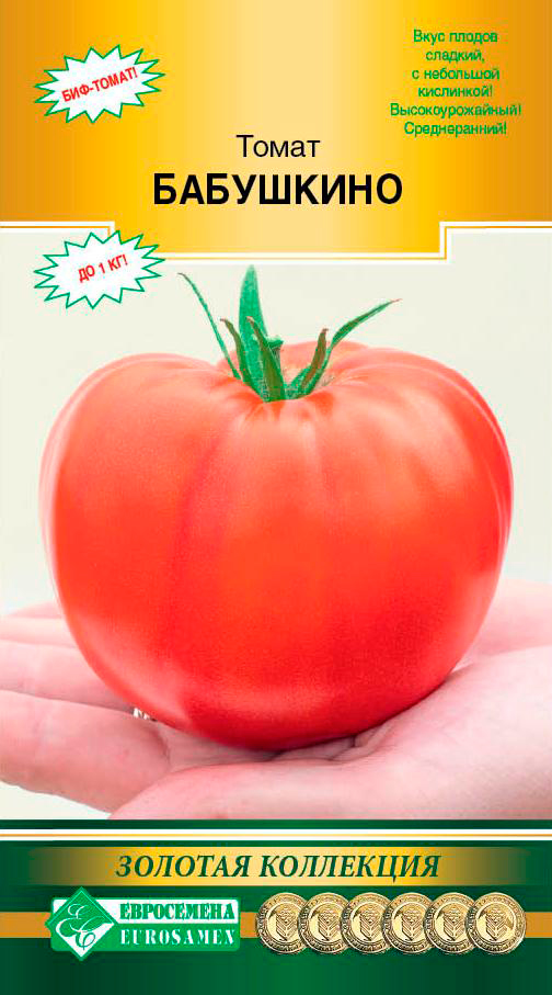 ���� ������ ���������� ����� ���������, 10 ��. ������� ���������  