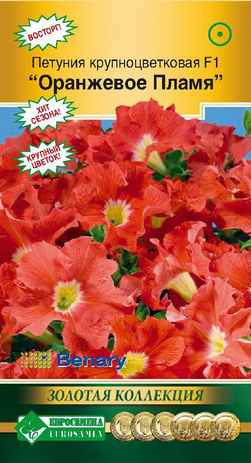 ���� ������ ���������� ������� ��������������� ������� ��������� ����� F1, 10 ����� ������� ���������  