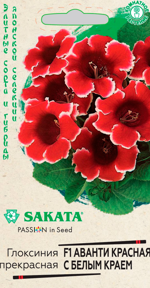           F1, 4 . Sakata   -     , -  