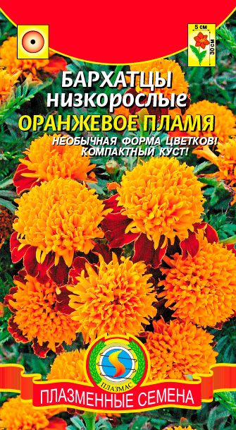 ���� ������ ������� �������� ����������� ��������� �����, 45 ��.  