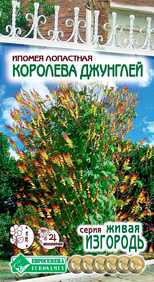 ���� ������ ���������� ������ ��������� �������� ��������, 0,3 � ����� ��������  