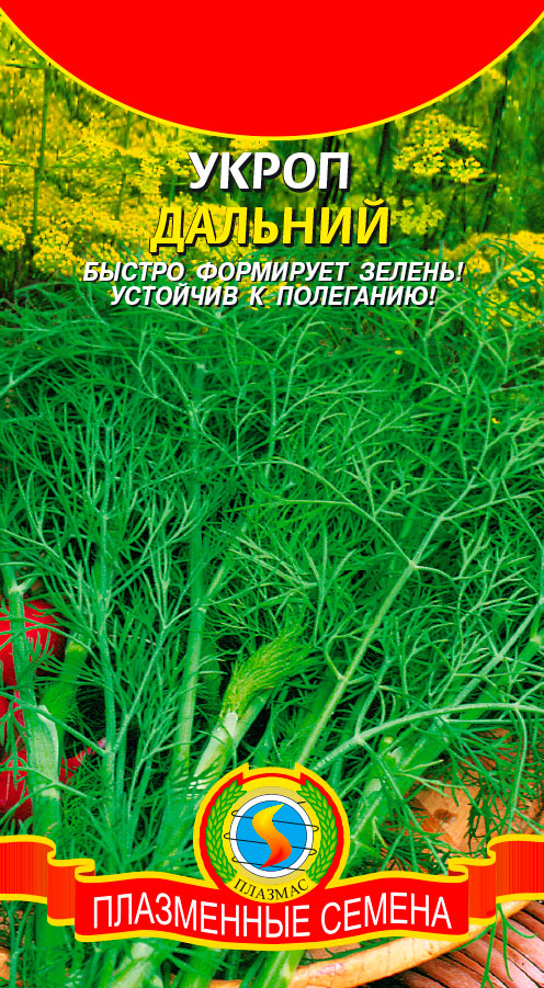 ���� ������ ������� ����� �������, 2 �  