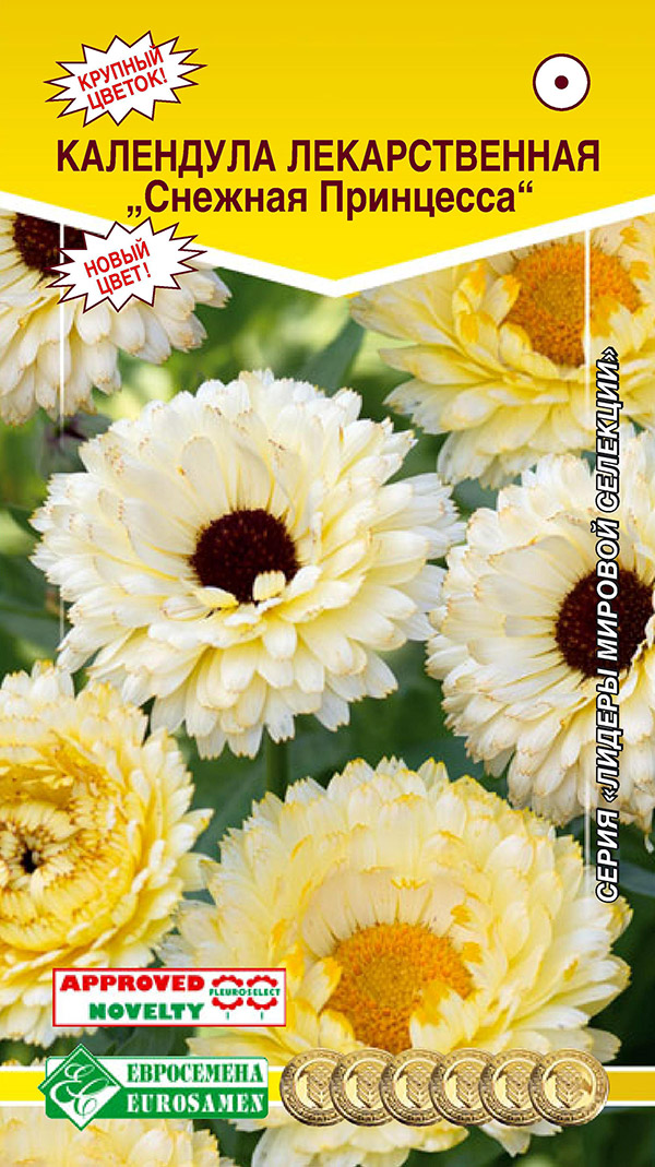 ���� ������ ���������� ��������� ������������� ������� ���������, 0,1 �  