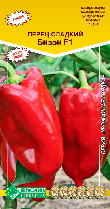 ���� ������ ���������� ����� ������� �����, 15 ��. ��������� ������  