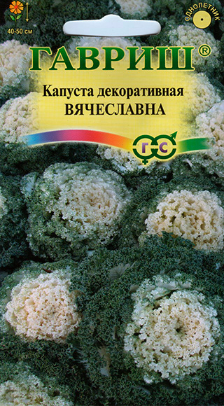 ���� ������ ������ ������� ������������ ����������, 0,1 �  