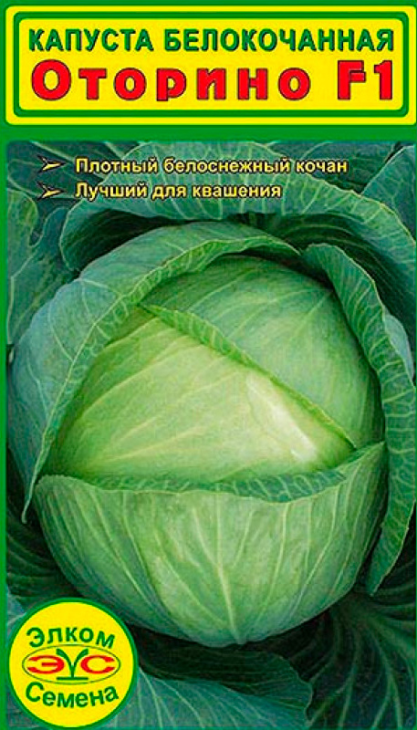 ���� ������ ����� ������ ������� ������������ ������� F1, 15 ��.  